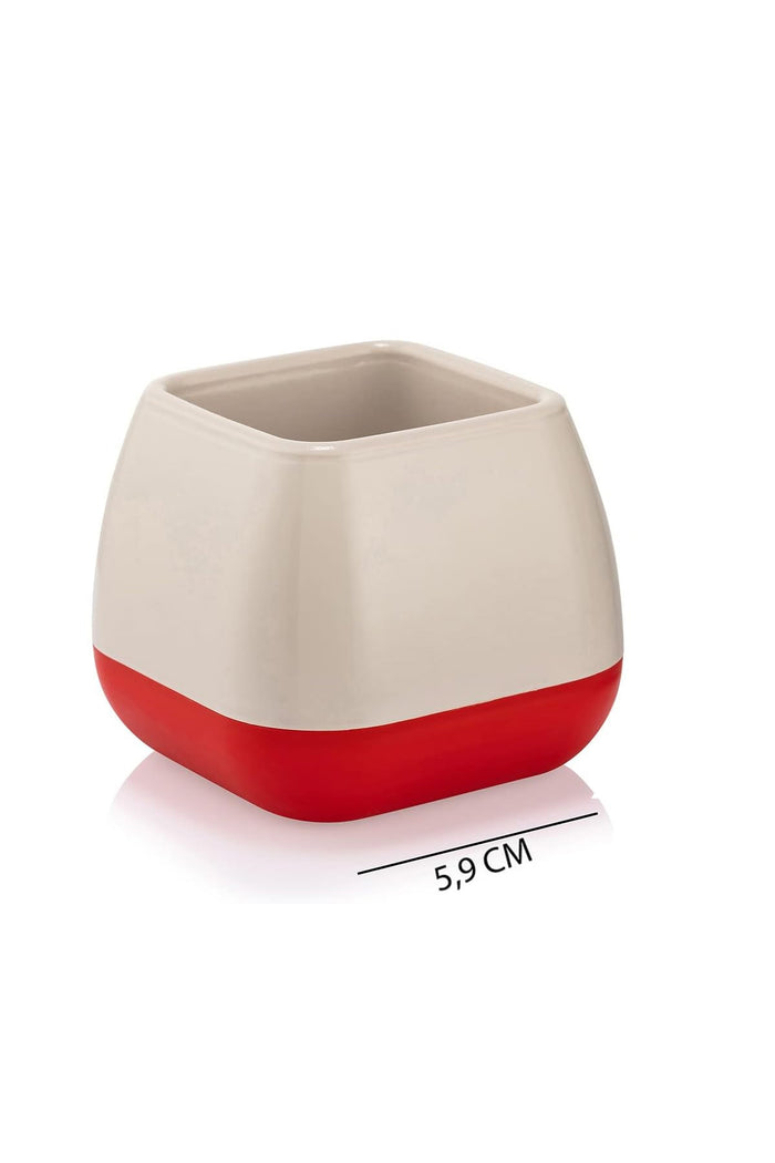 Elvan Kare Kaktüs, Sukulent Saksısı Kendinden Tabaklı 6 cm - Indirimsepeti