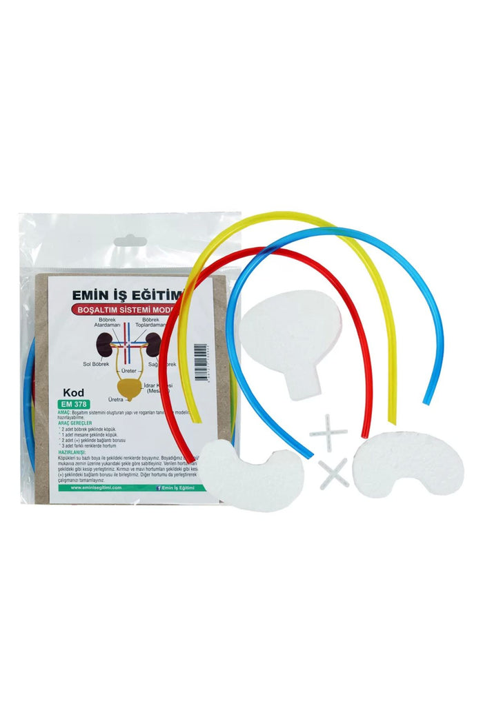 Boşaltım Sistemi Modeli - Indirimsepeti