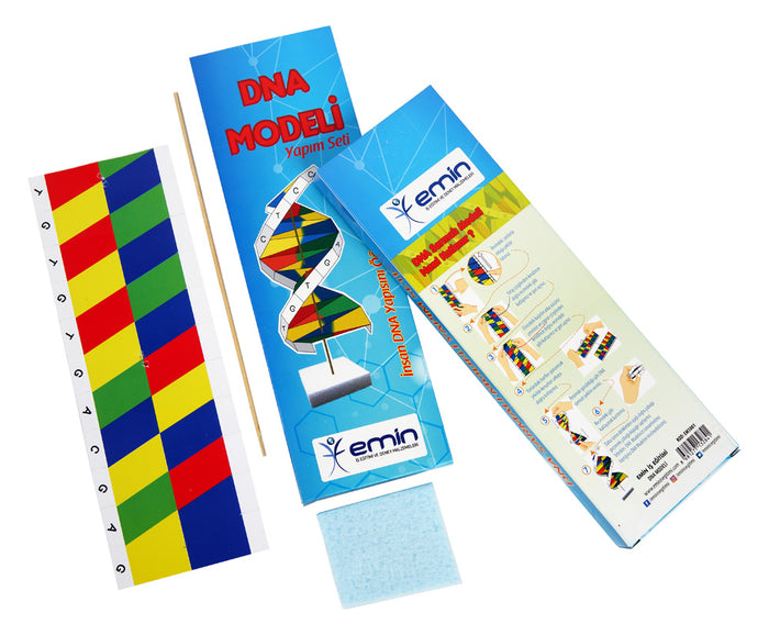 Kartondan Dna Modeli Yapımı Eğitim Seti - Indirimsepeti