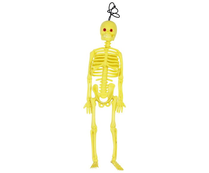 Plastik İskelet Modeli 17 cm Plastik İnsan isket Modeli 1 Adet Proje Deney - Indirimsepeti