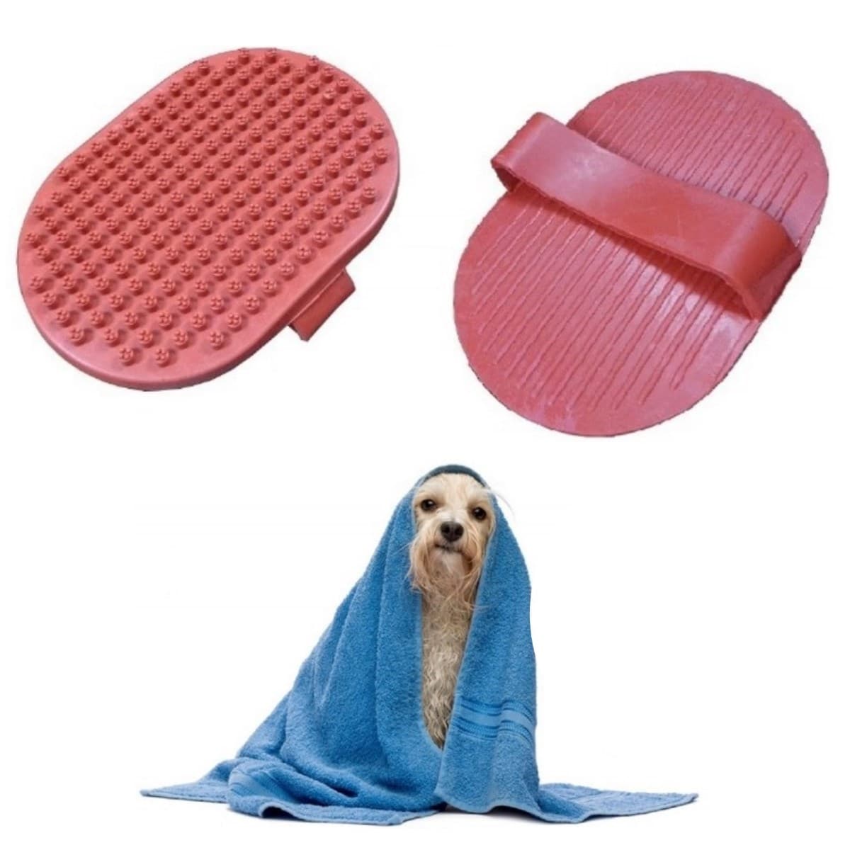 TrdStore® Ergonomik Masajlı Evcil Hayvan Kedi Köpek Yıkama Fırçası Aparatı