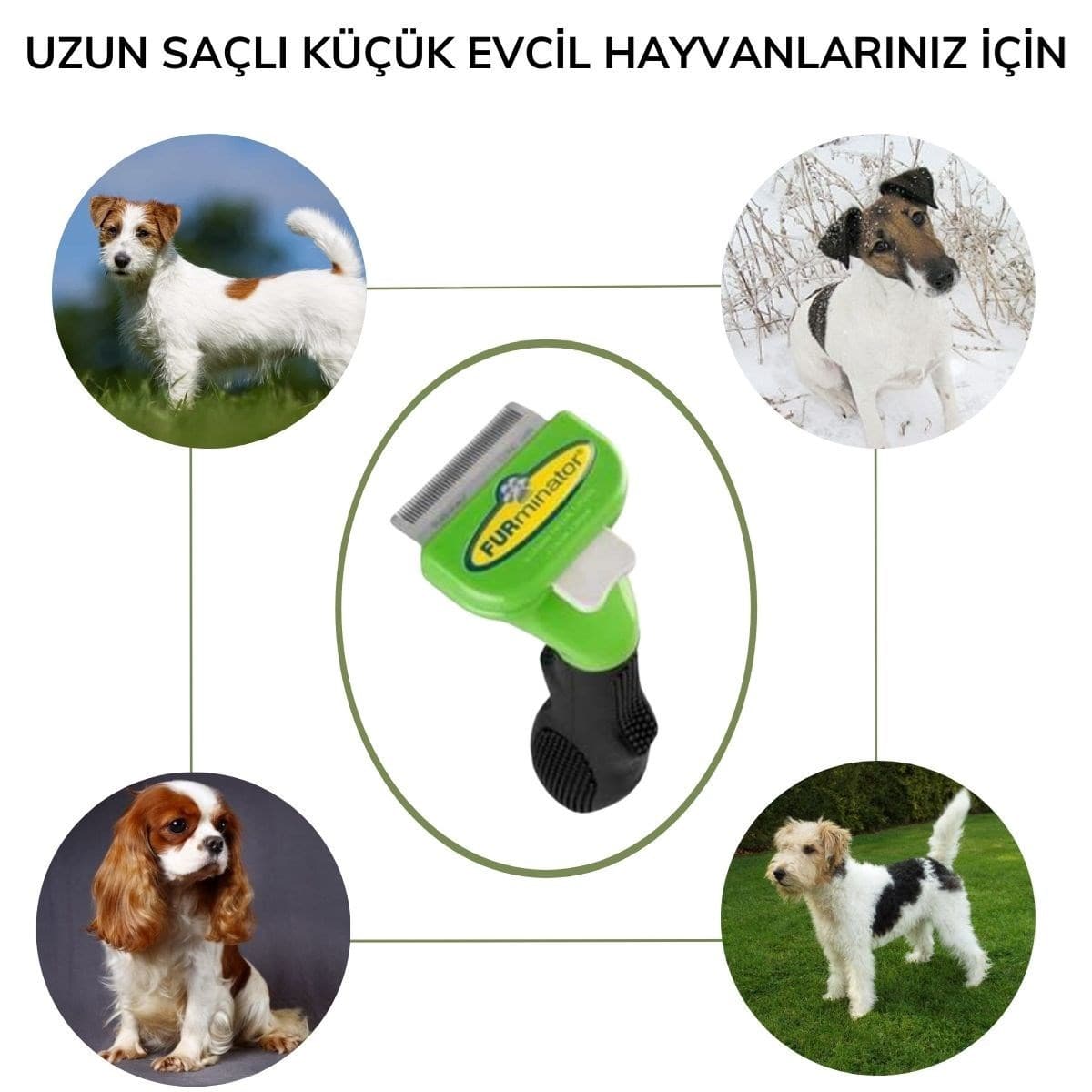 Standart - Küçük Görsel 5