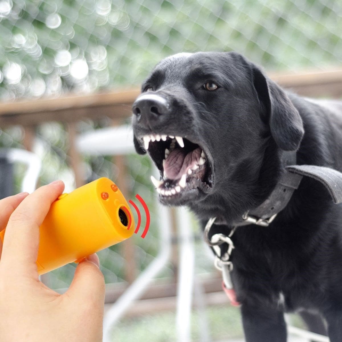 TrdStore® Ultrasonik Köpeksavar Köpek Kovucu Köpek Kornası Eğitim Cihazı - Görsel 2