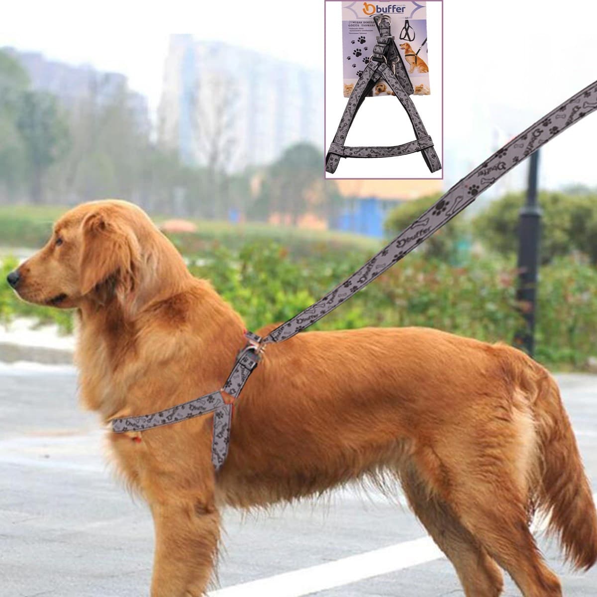 TrdStore® Ergonomik Yumuşak Dokulu Terletmez Köpek Göğüs Tasması Medium