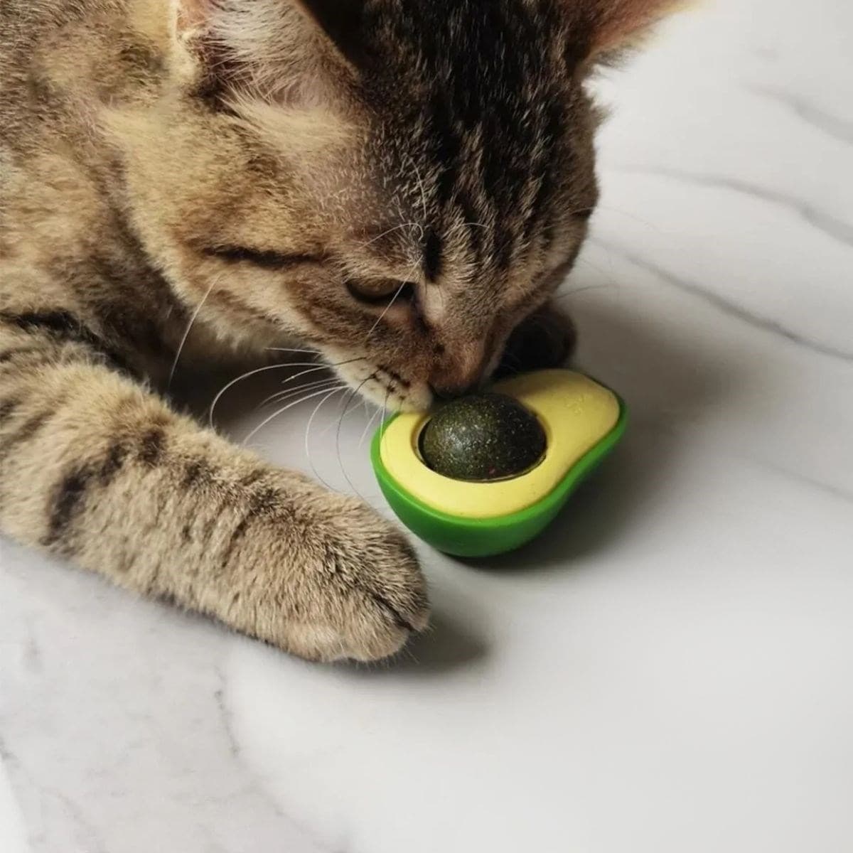 Avokado Model Yapışkanlı Kedi Oyuncağı Yenilebilir Kedi Nanesi Otu - Görsel 2