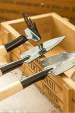 3'lü Metal Bahçe Seti Tırmık Çapa Kürek Mini Bahçe Seti Şık Tasarım Saksı Bakım Seti - Indirimsepeti