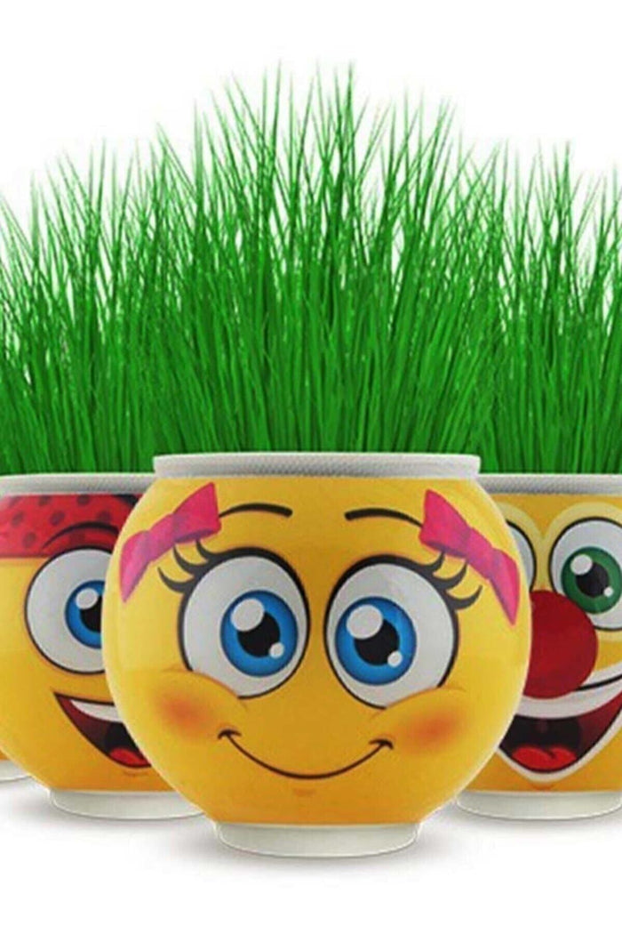 5 Adet  Emojinli Çim Adam  Çimoji  Mezuniyet ve Etkinlikler Kutlama Yaş Günü Etkinlik - Indirimsepeti