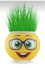 5 Adet  Emojinli Çim Adam  Çimoji  Mezuniyet ve Etkinlikler Kutlama Yaş Günü Etkinlik - Indirimsepeti