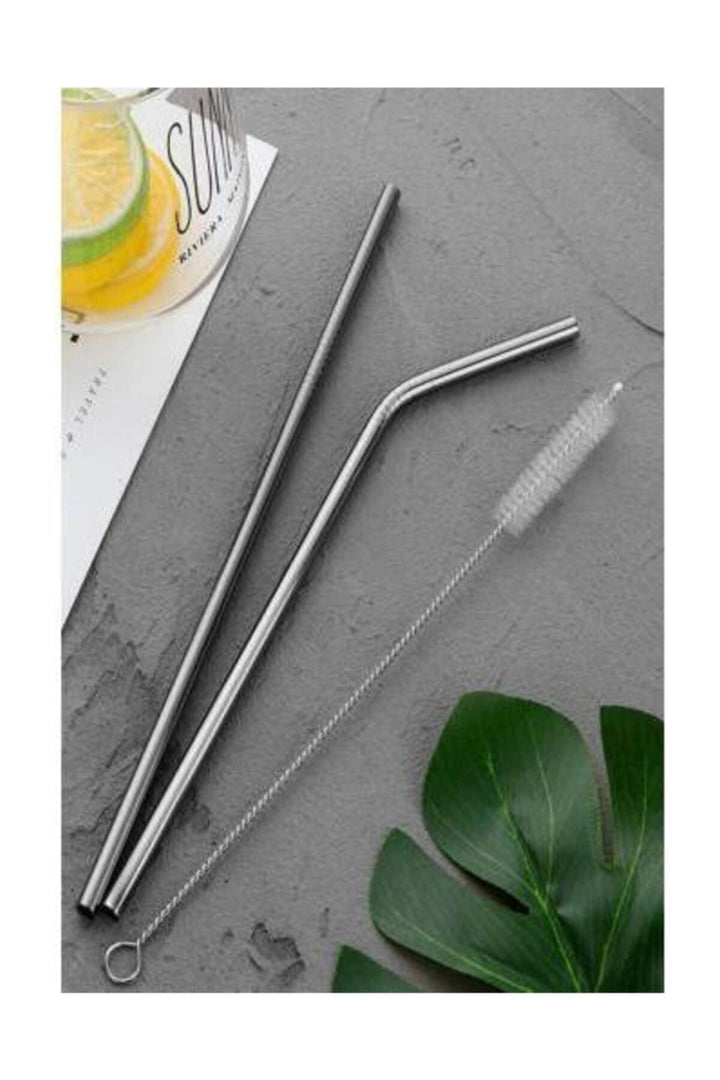 Paslanmaz Çelik Pipet Seti 4 Adet Çelik Pipet 4 Adet Çelik Pipet 2 Pipet Temizleme Fırçası - Indirimsepeti