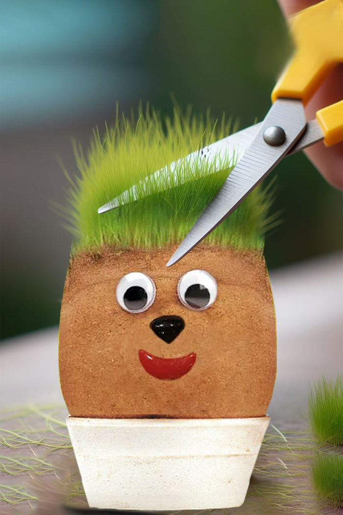 Çim Adam Yapım Seti 5 Adet  Emojinli Çim Adam  Mezuniyet ve Etkinlikler Kutlama Yaş Günü Etkinlik - Indirimsepeti
