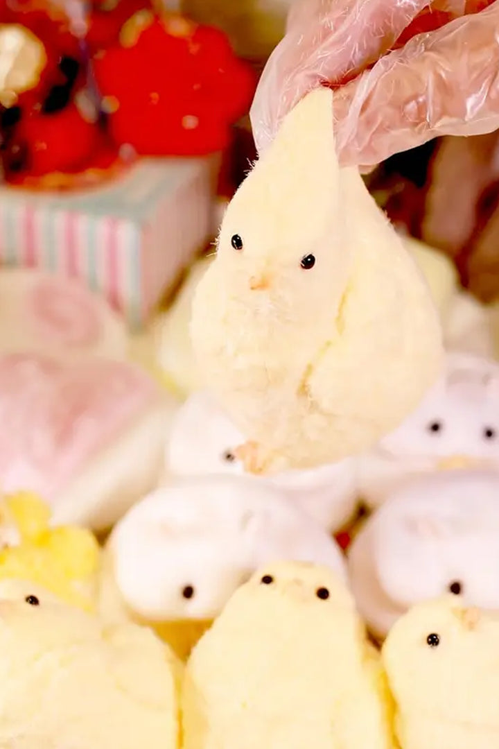 Civciv squishy civciv sukuşi Taba squishy hayvan figürlü Silikon Sevimli Civciv Stres Azaltıcı - Indirimsepeti