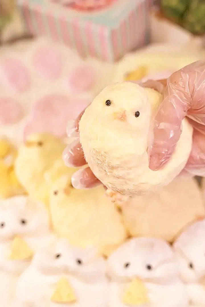 Civciv squishy civciv sukuşi Taba squishy hayvan figürlü Silikon Sevimli Civciv Stres Azaltıcı - Indirimsepeti