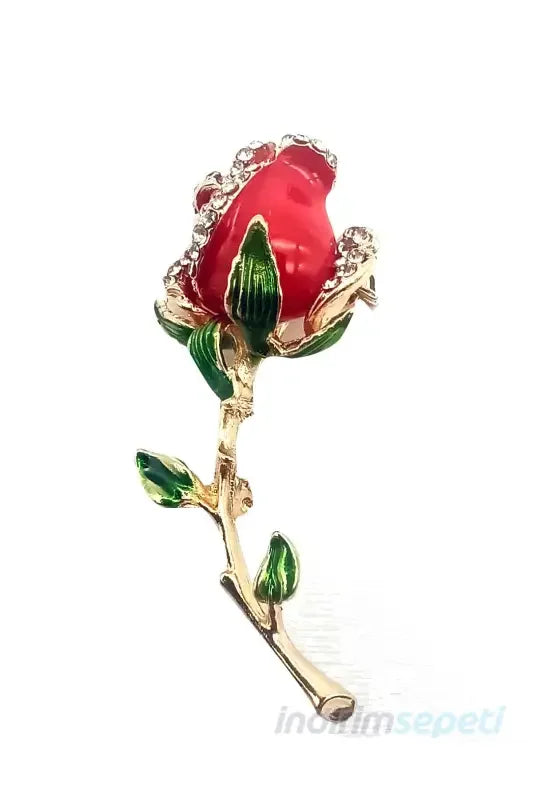 Görsel alternatif metni